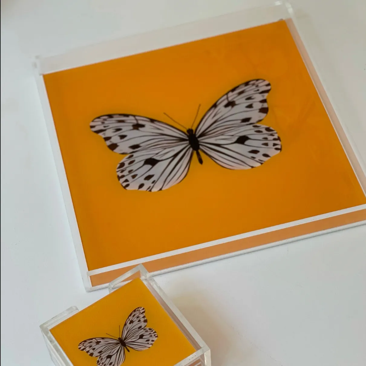 Acrylic Trays 12 x 12