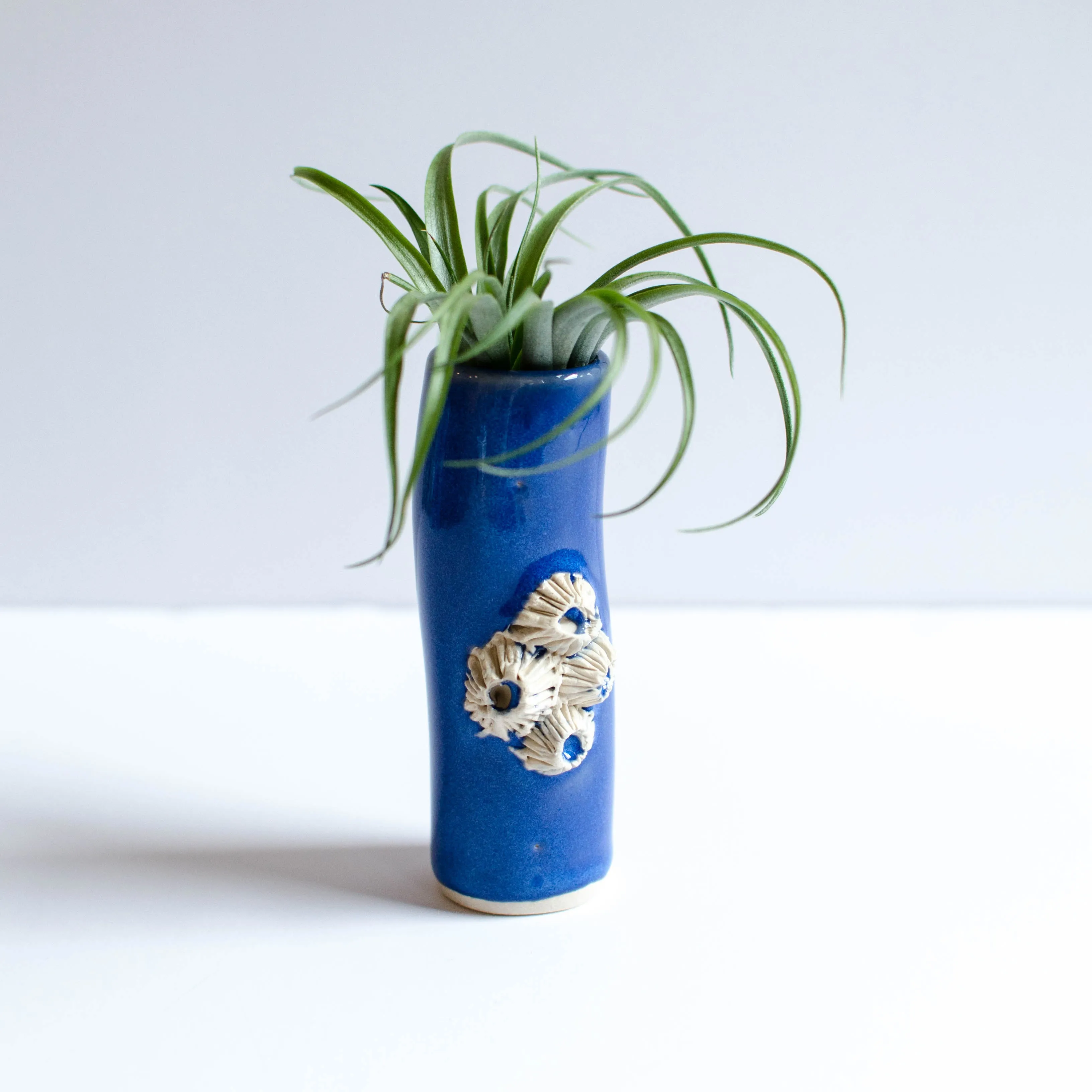 Barnacle Vases | Blue