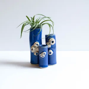 Barnacle Vases | Blue