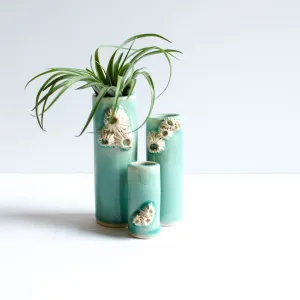 Barnacle Vases | Turquoise