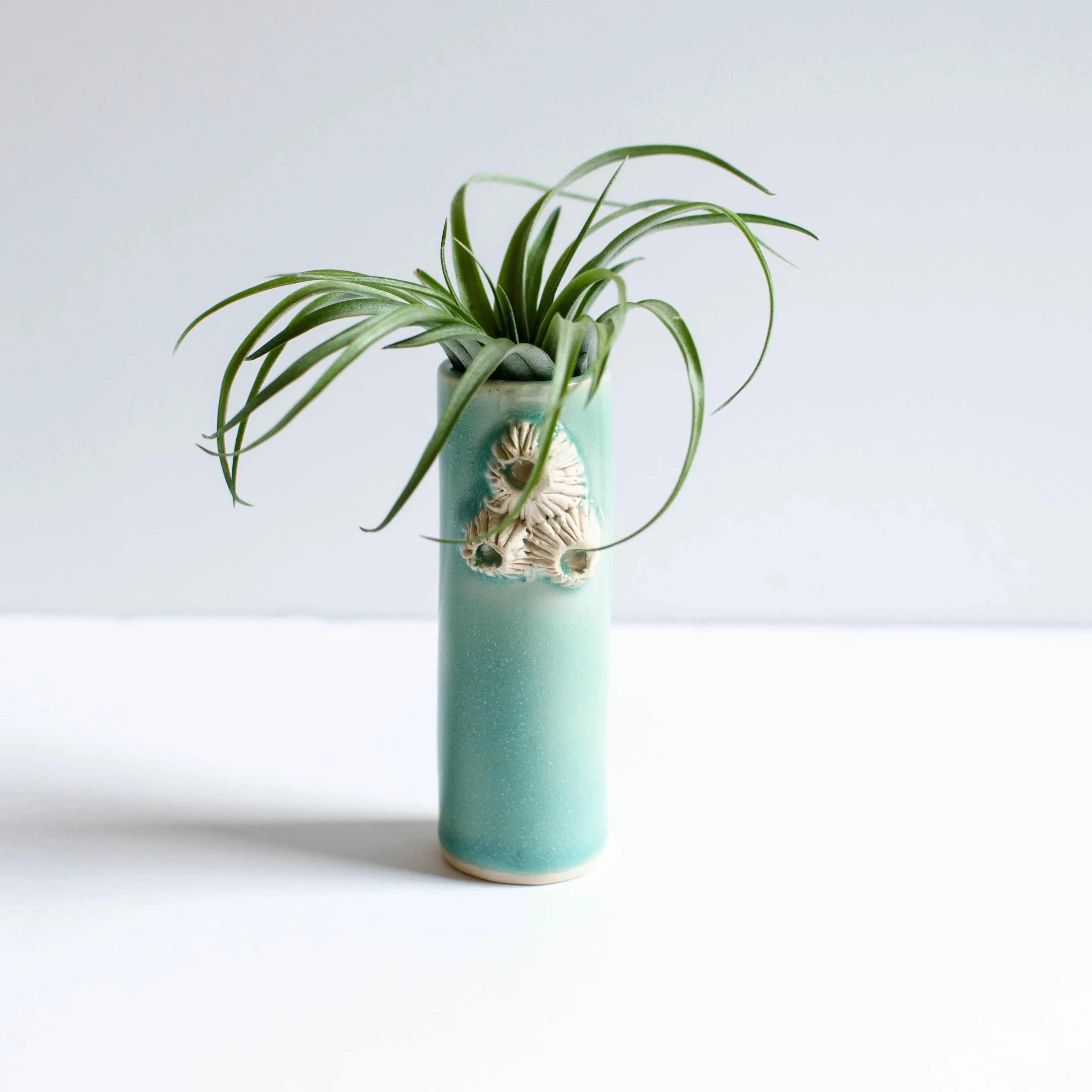 Barnacle Vases | Turquoise