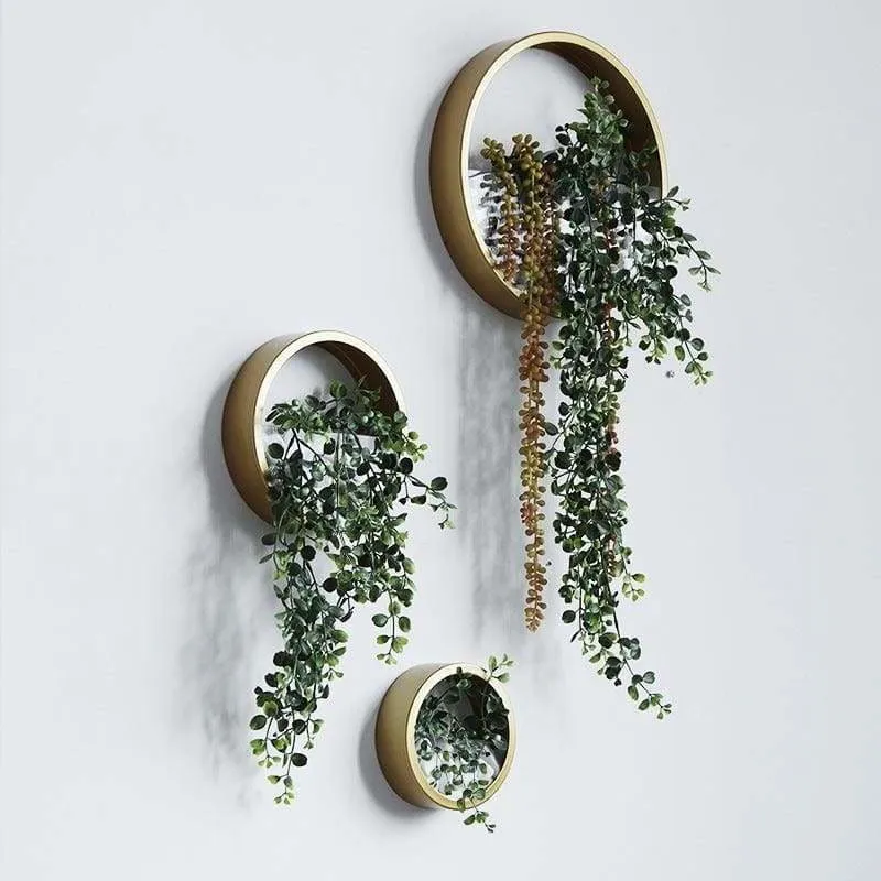 Orbicular wall plant vase