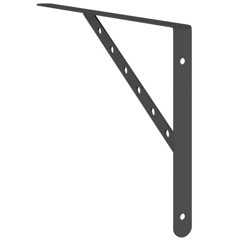 Shelf Brackets 4 pcs 40x2.5x25 cm Black Stainless Steel